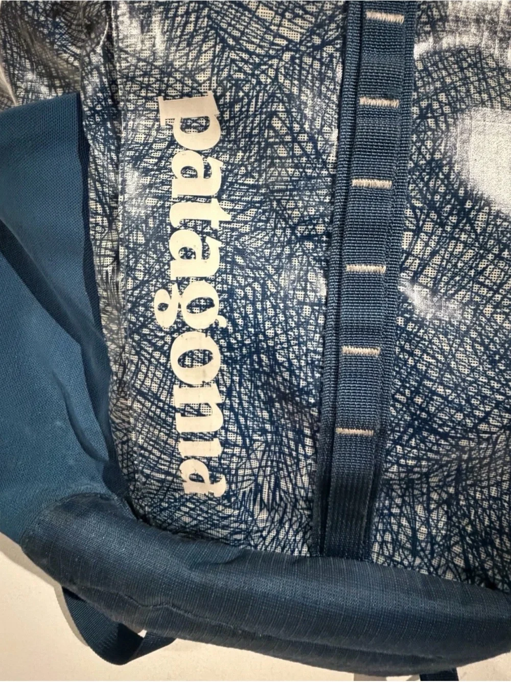 Patagonia Blue Patterned Everyday Backpack